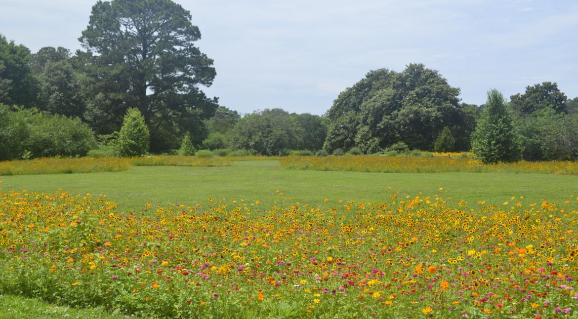 Norfolk Botanical Garden